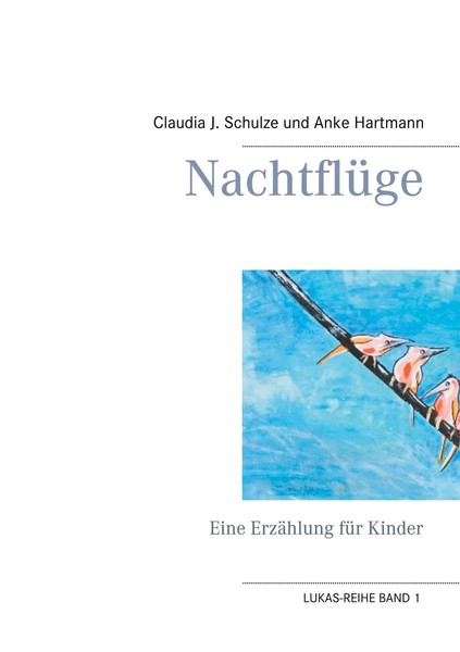 Claudia J. Schulze (U. A.) | NachtflüGe | Taschenbuch | Deutsch (2020) | 132 S.-image