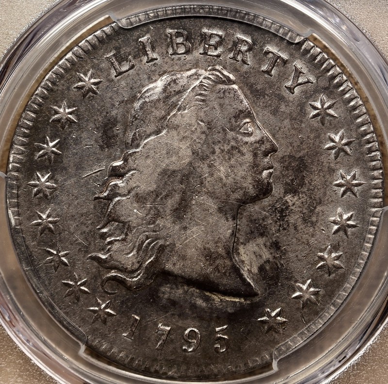 1795 B.5 BB-27 Flowing Hair 3 Leaves Dollar, PCGS VF det, DavidKahnRareCoins