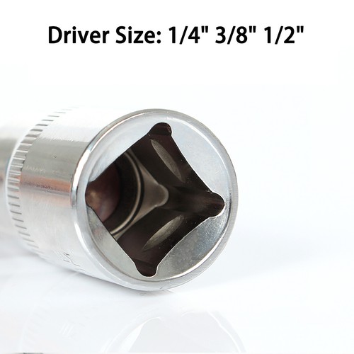 Bit Einsatz Torx T8 - T60, Schraubendreher T-Profil Stecknuss 1/4" 3/8" 1/2" - Bild 3 von 9