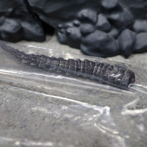 Bandai Gashapon Red-eyed & White-eyed Crocodile Skink Gecko Figure - Picture 15 of 29