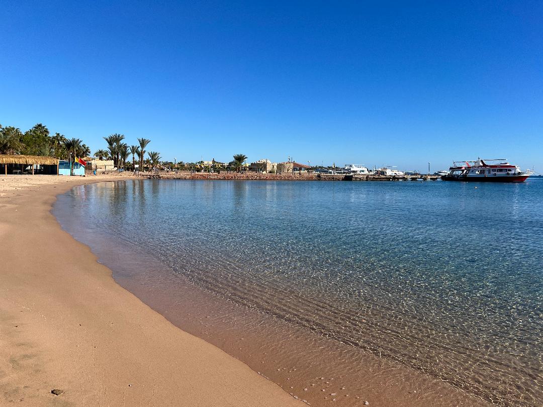 Geschenkgutscheine, Frühling, Betrag wählbar nur Einkauf in unserem eBay-Shop