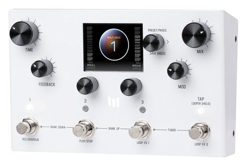 MERIS Modular Delay System / Looper - Bild 2 von 4
