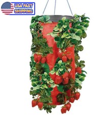 Vertical Gardening Grow Bag Planter - Upside Down Vegtable, Fruit, Herb Planter