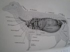 Foto 3 di 8