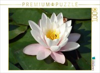 Calvendo Puzzle Juni | 1000 Teile Lege-GrößE 64X48Cm Foto-Puzzle FüR GlüCkliche