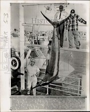 1964 Stampa Foto Pescatori catturano 620 libbre Marlin blu ad Atlantic City, NJ
