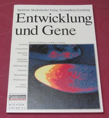 Entwicklung und Gene - Spektrum Akademischer Verlag   von Walter J. Gehring