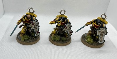 Imperial Fists Bladeguard Veterans (3), Well Painted Warhammer 40k Space Marines