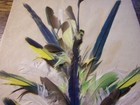 unique 1907 snug harbor rookery bird feather arrangement colorado ornithology — photo 7