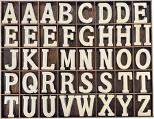 205 Pieces 2 Inch Wooden Letters Wood Alphabets for Crafts,Organized with Extra