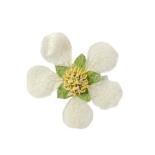 12PCS Real Pressed Dry mini Flower, white Flower Head for art candle craft FSS45