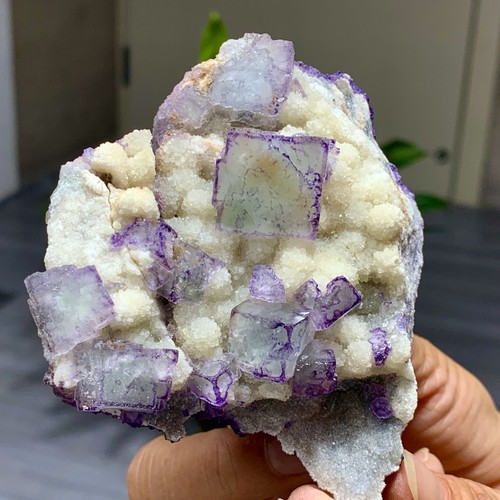 225G Natural Púrpura "Código QR" Racimo de Fluorita Cristal Mineral Espécimen/Guizhou - Imagen 5 de 23