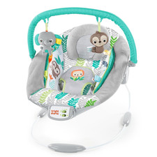 Comfy Baby Bouncer Soothing Vibrations Infant Seat - Taggies, Music, Removable T
