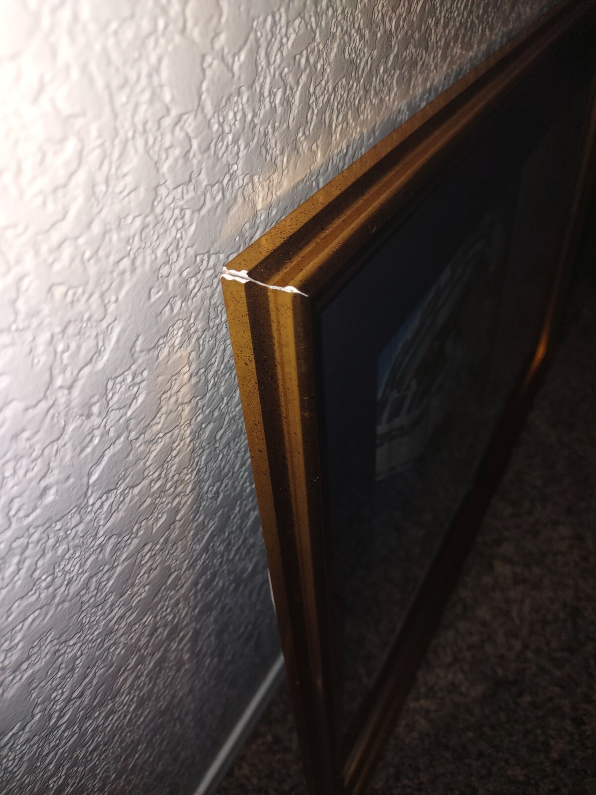 Picture 5 of 18