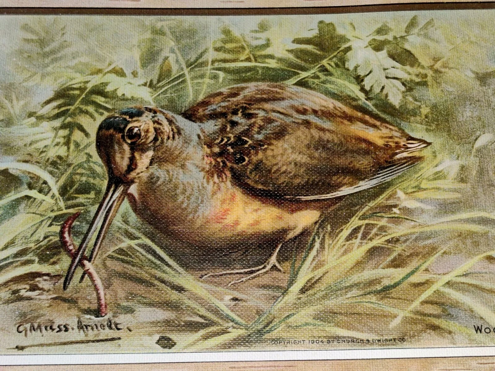 Picture 4 of 5