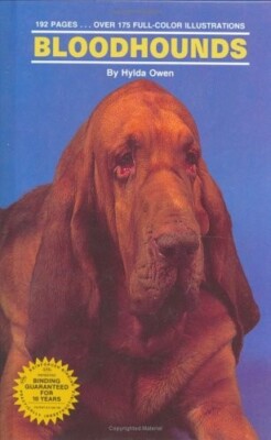 Bloodhound Club North West Bloodhounds Nick Carter Bloodhound 2025