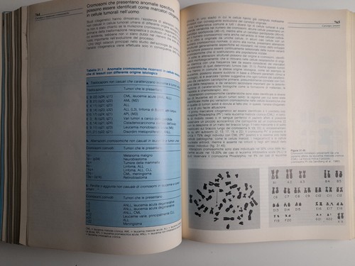 Biologia di M. Ageno F. Ajmar Editoriale Grasso anno 1984 - Picture 4 of 4