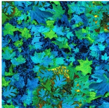 BTY TT Electric Nature FALLEN LEAVES Green Print 100% Cotton Quilt Fabric YARD