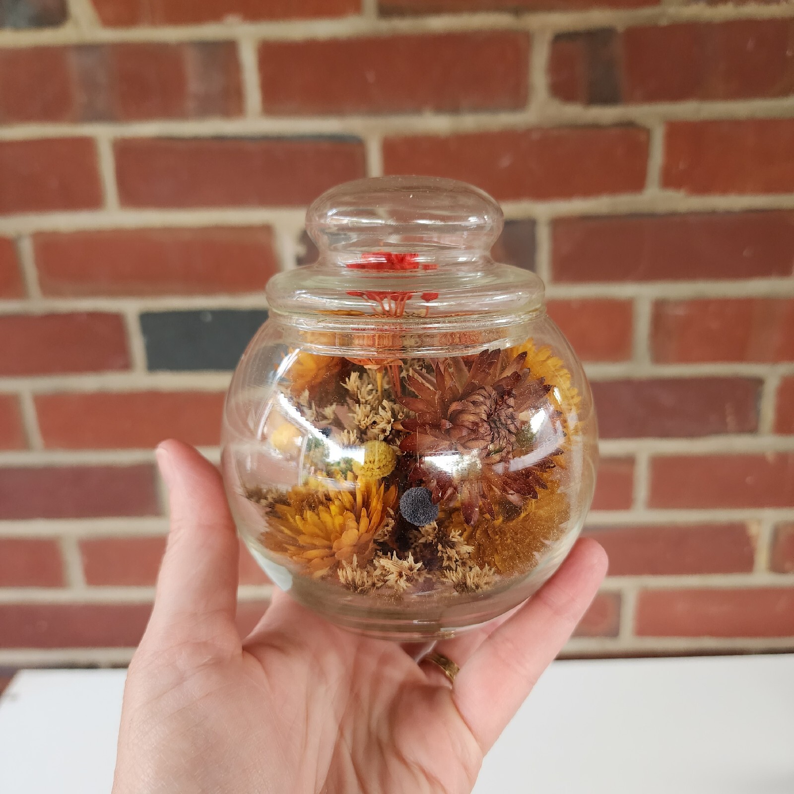 Vintage Dried Flowers in Sealed Glass Jar with Lid 4.75" eBay