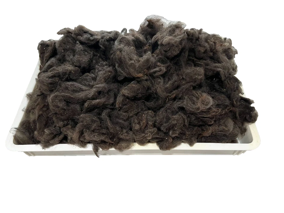 Alpaca Fiber Dark Brown Raw Unwashed 1 Pound Natural - Image 3 of 3