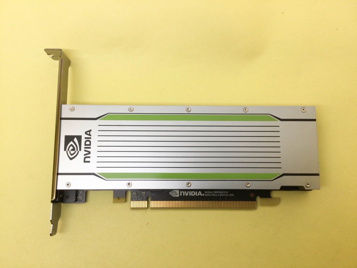 NVIDIA Tesla T4 16GB GDDR6 PCIE 3.0 x16 GPU Graphics Card | eBay
