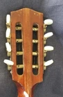 Picture 6 of 9
