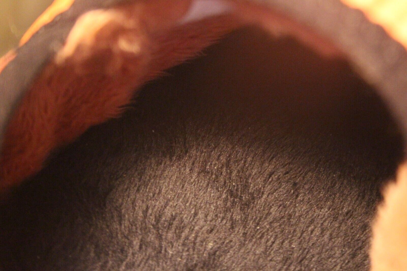 Foto 12 di 12