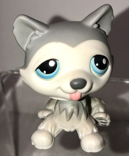 Littlest Pet Shop LPS Husky Puppy Dog #70 AUTÉNTICO - Imagen 8 de 8
