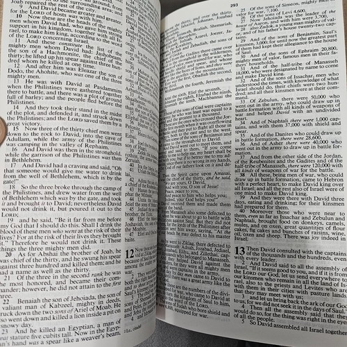 Vintage New American Standard Bible Text Edition Illustrated Dictionary/Concorda - Picture 6 of 18