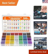 300Pcs Car Fuse Assortment Kit, 160 Mini Blade Fuses Automotive + 90 Standard