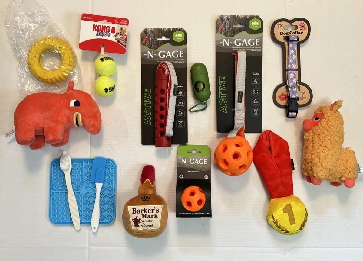 New  Dog Puppy need  Play Fun Fetch Retrieval Floats Collar 
