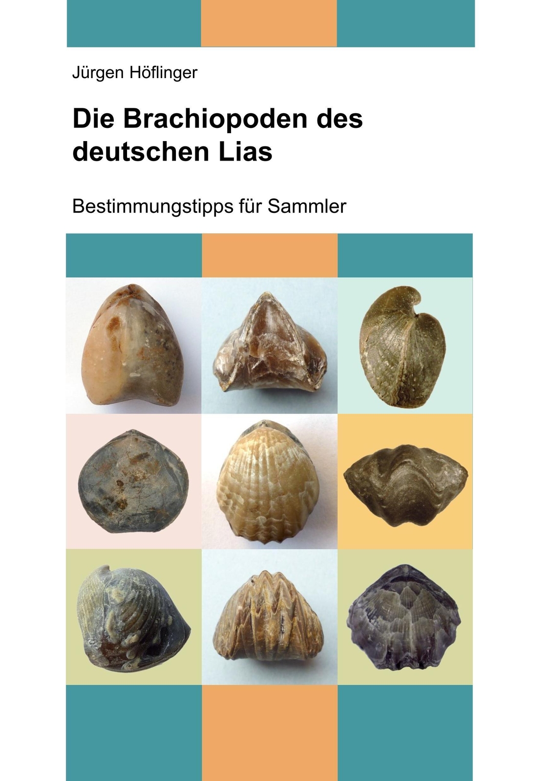 Thumbnail - Die Brachiopoden Des Deutschen Lias | Jürgen Höflinger | Taschenbuch |