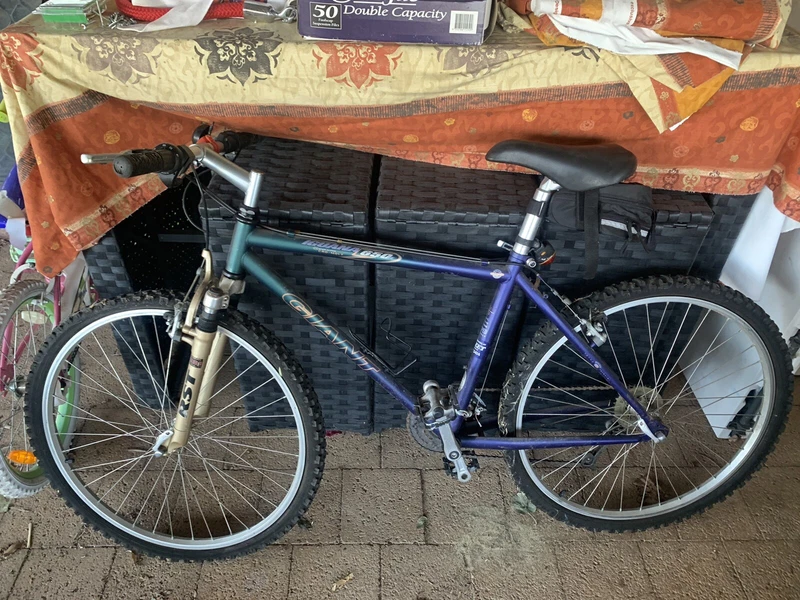 gumtree giant bike