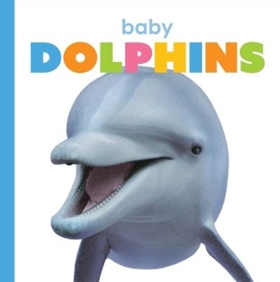 Kate Riggs Baby Dolphins (Paperback) Starting Out (UK IMPORT)