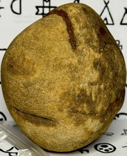 Native American Indian Authentic Artifact Stone Carved Effigy, 1 lb 10 oz • VA