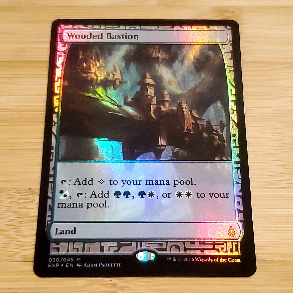 Land Foil Magic: The Gathering Trading Card Games Zendikar