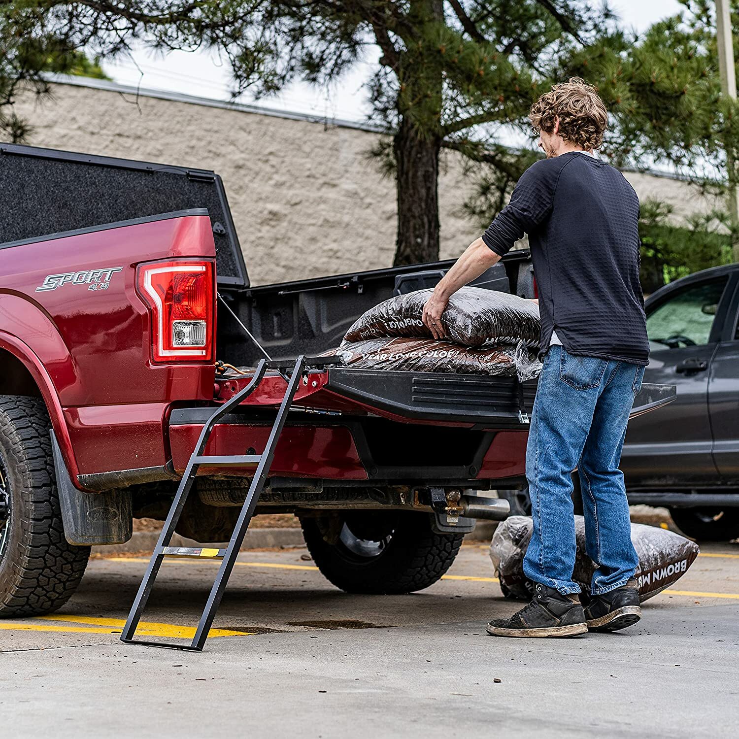 Truck Tailgate Ladder Ford Ranger F150 F250 Chevy Dodge Pickup Step Tundra  Ram | eBay