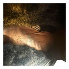 Bild 12 von 13