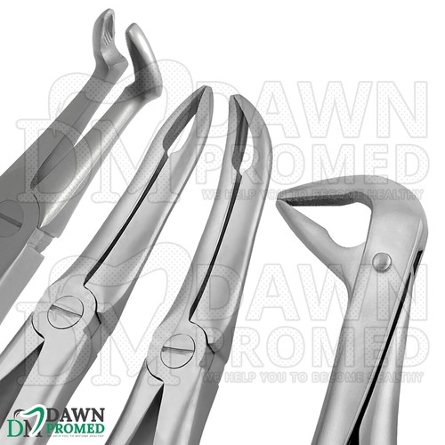 Juego de 4 pinzas de extracción TC punta de raíz instrumentos de extracción dental alemán Gr - Imagen 3 de 9
