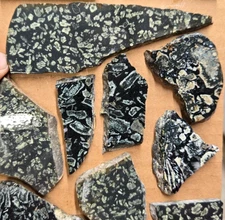 Dallasite, Flowerstone British Columbia Cabochon Preforms Slabs 12 pcs, Flat 44