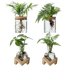 Glass Plant Propagation Station Set for Hydroponic Plants  Tabletop Decor 