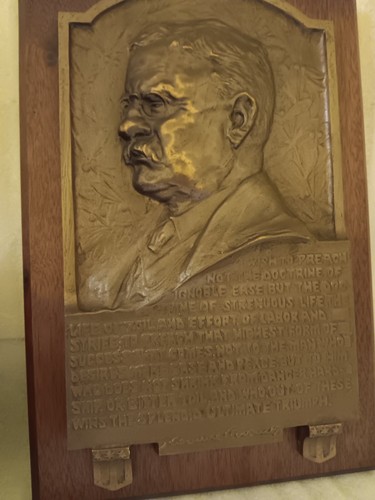 ANTIQUE THEODORE TEDDY ROOSEVELT HIGH RELIEF PORTRAIT BRONZE QUOTE PLAQUE SIGNED - Picture 2 of 15