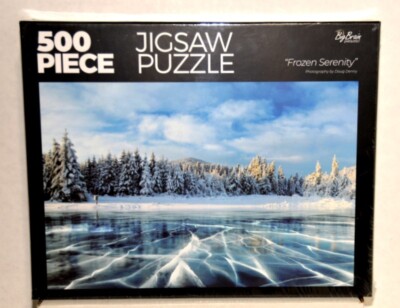 Big Brain Gameworks 500 Piece Jigsaw Puzzle -  Frozen Serenity  by Doug Denny