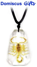 New! Real INSECT Brown SCORPION NECKLACE Tapered Cut Fashion Jewelry PENDANT 