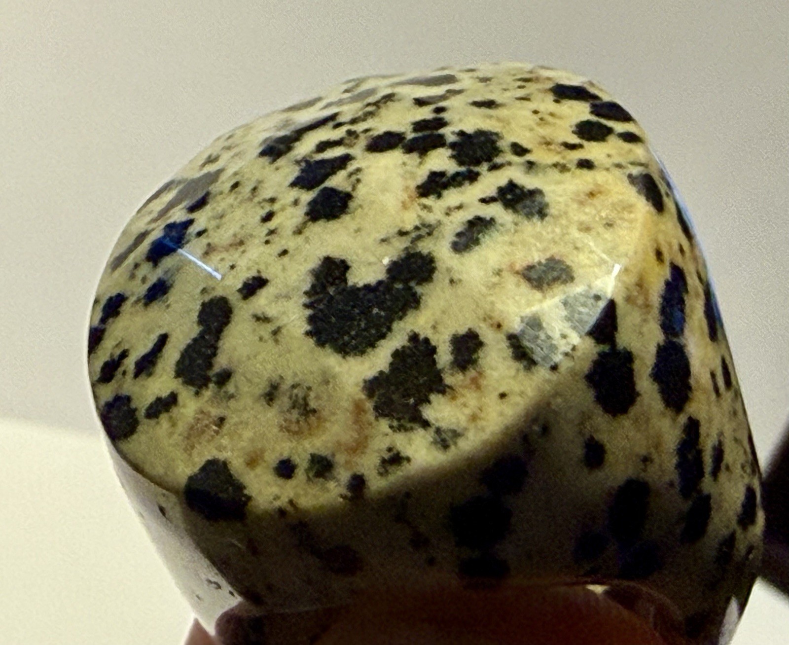 Jasper Dalmatian Large Statement Ring Vintage Ret… - image 15