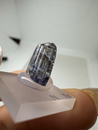TANSANIT Kristall (1.4gr) Roh Natural Tanzanite Crystal rough - Picture 7 of 7