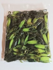 1 Bulk Pack (100) Strike King KVD Gurgle Toad JR 3&1/4" Green Pumpkin Chartreus
