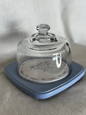 Vintage Saltera Cheese Dome w/ Glass Cover & Floral Stoneware Plate on Blue Base