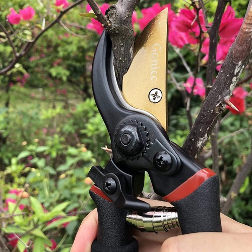 8" Premium Titanium Bypass Pruning Shears, Garden Clippers - Picture 5 of 8