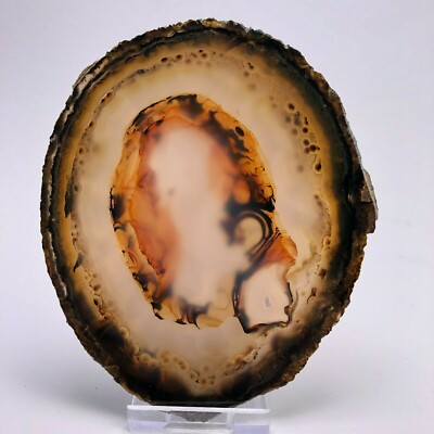 Achat Scheibe 11,2 x 9,7 cm Agate Slice Achatscheibe Agate